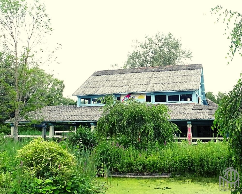 restaurant walygator grand est