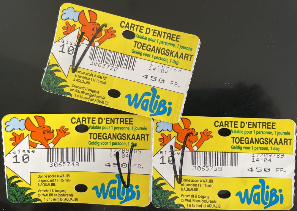 Billet adulte ou enfant pour une journée magique à Walibi Belgium - Walibi Belgium