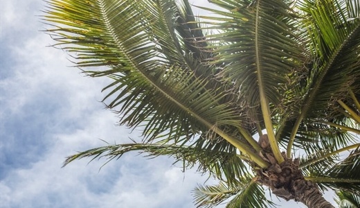 Quand partir vers un parc en Floride ?