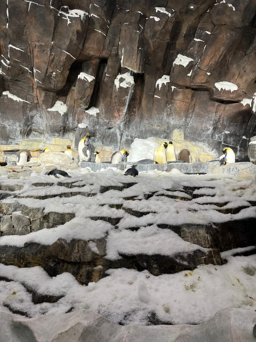 Photo de Seaworld Orlando Resort postée par Theme park lover