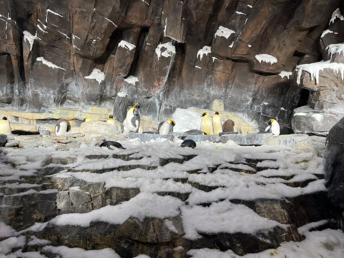 Photo de Seaworld Orlando Resort postée par Theme park lover