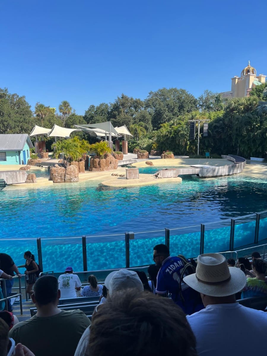 Photo de Seaworld Orlando Resort postée par Theme park lover