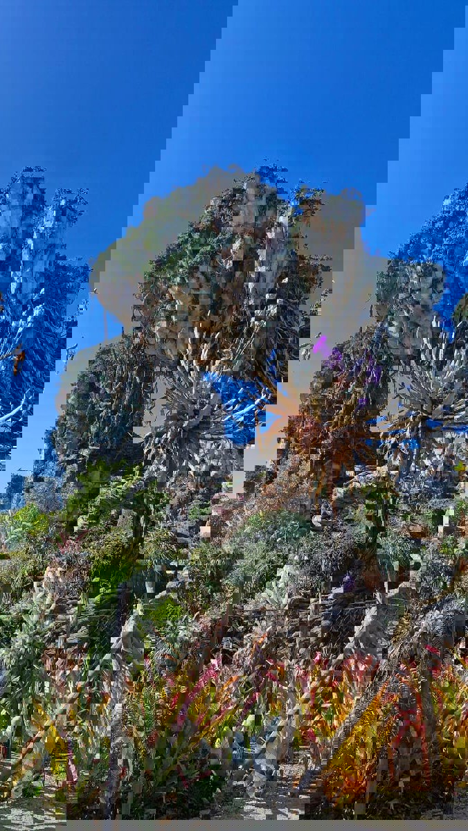 Photo de Walt Disney World postée par Gwen