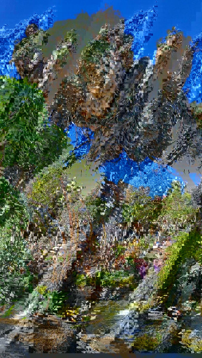 Photo de Walt Disney World postée par Gwen