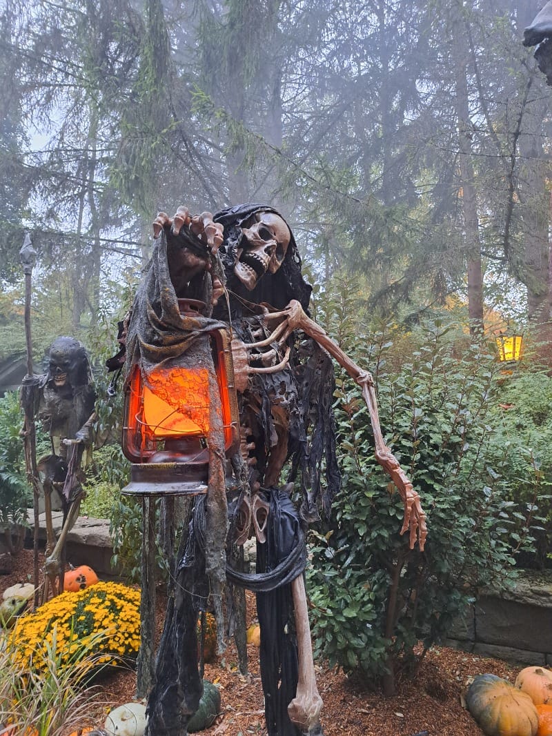 Photo de Nigloland postée par Thibault