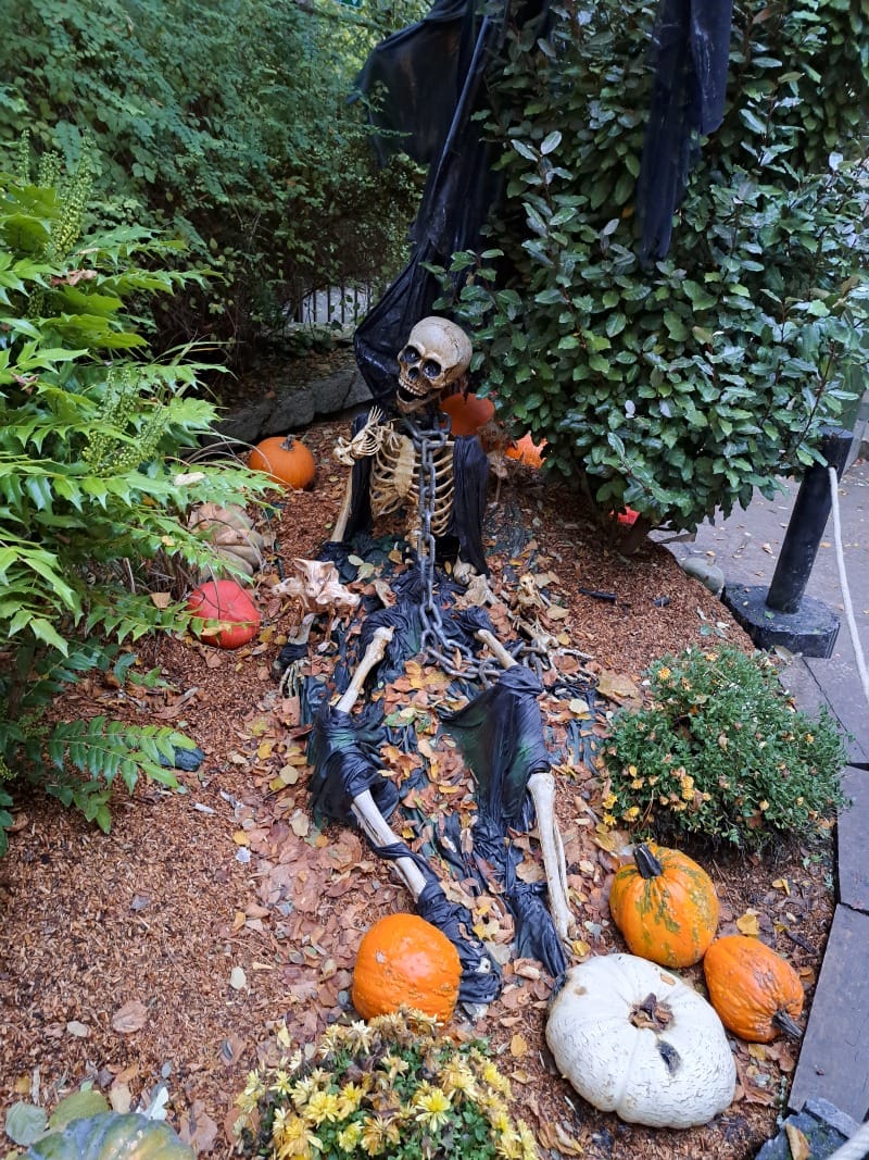 Photo de Nigloland postée par Thibault